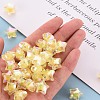 Transparent Acrylic Beads TACR-S152-02D-SS2105-5