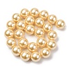 Electroplated Shell Pearl Beads Strands BSHE-G041-16mm-01-2