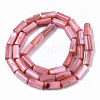 Natural Freshwater Shell Beads SHEL-R047-01D-2
