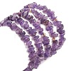 5Pcs 5 Style Natural Amethyst Chips Stretch Bracelets Set BJEW-JB09551-01-3