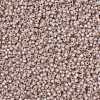 MIYUKI Round Rocailles Beads X-SEED-G008-RR0579-3