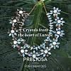 Preciosa® MAXIMA Crystal Round Stones Y-PRC-RBSS29-31110-5