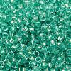 Glass Cylinder Beads SEED-L011-11B-17-3