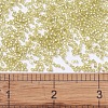 MIYUKI Delica Beads SEED-X0054-DB0687-4