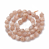 Natural Sunstone Beads Strands G-S332-10mm-008-3
