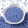 Baking Paint Glass Seed Beads X-SEED-S042-15A-12-2
