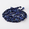 Nuggets Dyed Natural Lapis Lazuli Bead Strands G-M344-21-2