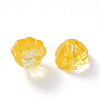 Transparent Baking Paint Glass Beads DGLA-T002-08B-2