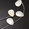 Natural Trochid Shell/Trochus Shell Beads Strands SSHEL-K009-12-3