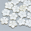 Freshwater Shell Beads SHEL-S275-021-1