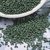 MIYUKI Delica Beads SEED-JP0008-DB2312-1