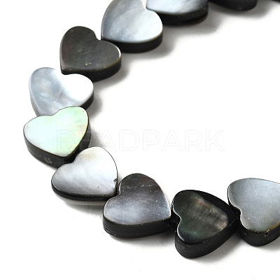 Natural Black Lip Shell Beads Strands BSHE-D300-06B-1