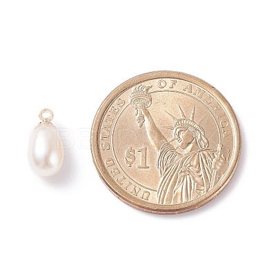 Natural Pearl Charms X-PALLOY-JF01281-02-1