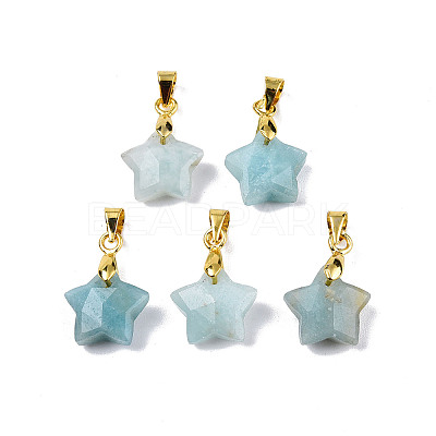 Natural Amazonite Charms X-G-N326-142-08-1
