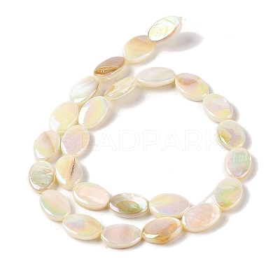 Natural Freshwater Shell Beads Strands X-BSHE-H018-06-1