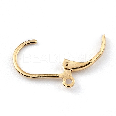 Brass Leverback Earring Findings X-KK-O131-09G-1