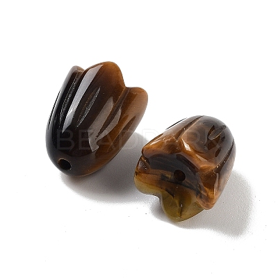 Natural Tiger Eye Beads G-A222-03E-1