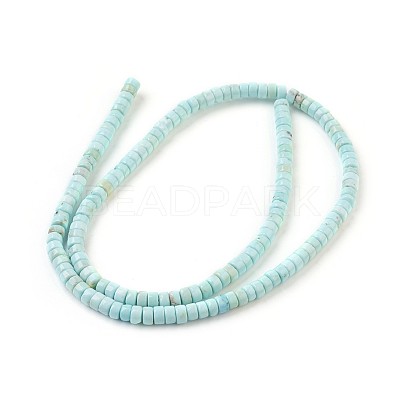 Natural Howlite Beads Strands X-G-P398-F-1