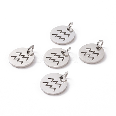Non-Tarnish 304 Stainless Steel Charms STAS-Q201-T445-11S-1