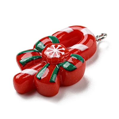 Opaque Resin Pendants CRES-D010-01H-01-1
