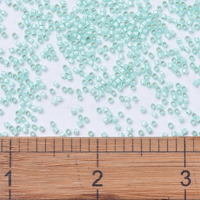 MIYUKI Delica Beads X-SEED-J020-DB0626-1