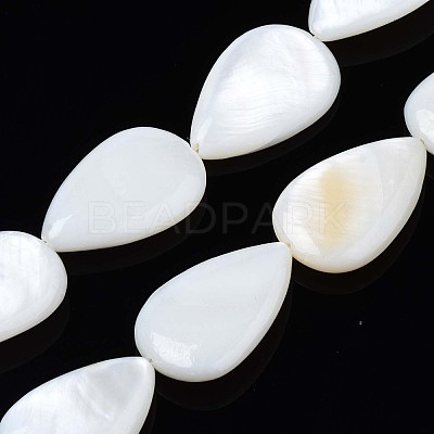 Natural Sea Shell Beads Strands SSHEL-Q296-43-1