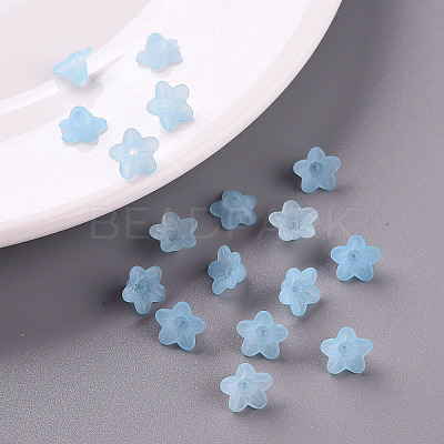 Transparent Acrylic Beads X-PL554-12-1