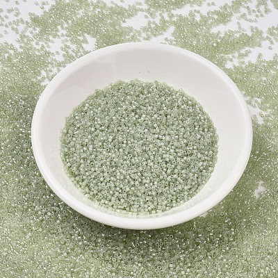 MIYUKI Delica Beads X-SEED-J020-DB1765-1