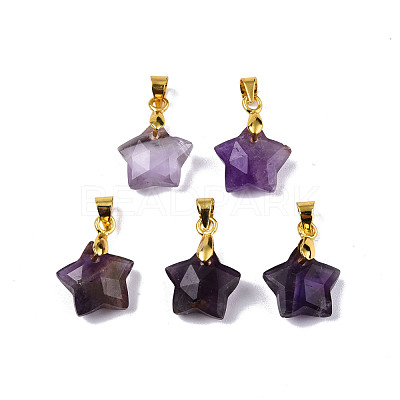 Natural Amethyst Charms G-N326-142-03-1