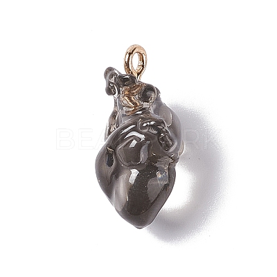 Transparent Resin Pendants RESI-E028-01G-02-1