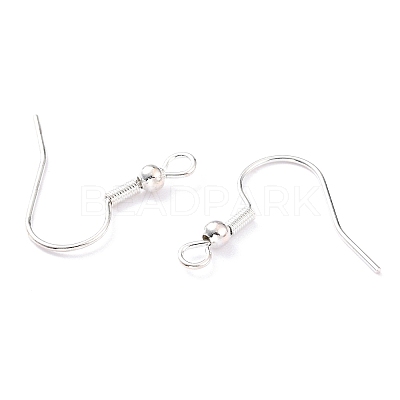 304 Stainless Steel Earring Hooks X-STAS-T031-17S-1