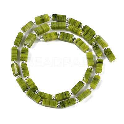 Handmade Lampwork Beads Strands LAMP-Q037-01B-03-1