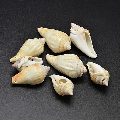 Natural Conch Shell Beads BSHE-O007-56-1