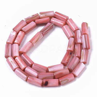 Natural Freshwater Shell Beads SHEL-R047-01D-1