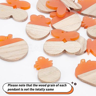 DIY Dangle Earring Making Kits RESI-OC0001-09-1