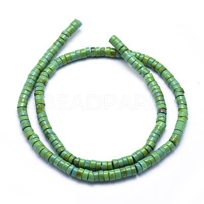 Natural Magnesite Beads Strands TURQ-G148-20-4mm-1