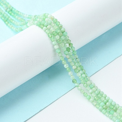 Natural Chrysoprase Beads Strands G-F748-X01-01A-1