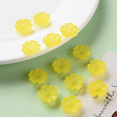 Transparent Frosted Acrylic Bead Caps MACR-S371-04A-717-1
