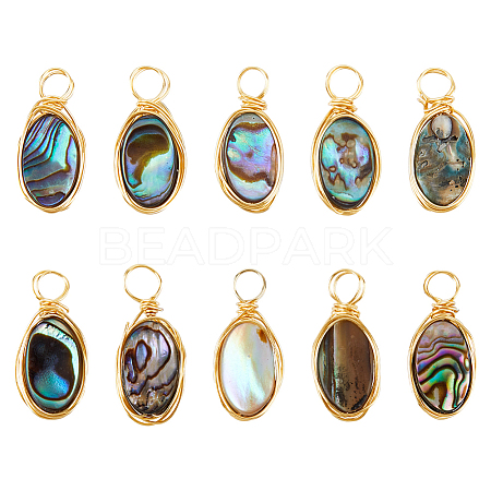 10Pcs Copper Wired Natural Abalone Shell/Paua Shell Pendants PALLOY-FI00001-1
