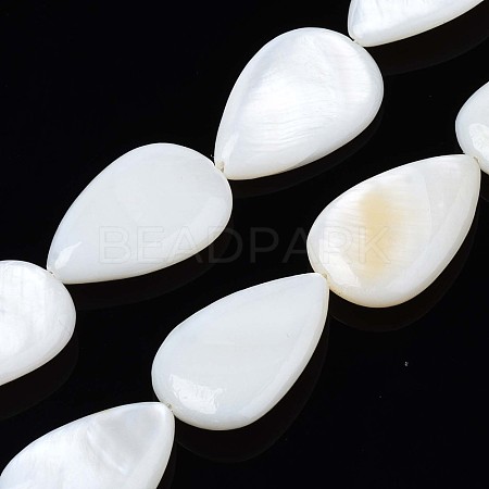 Natural Sea Shell Beads Strands SSHEL-Q296-43-1