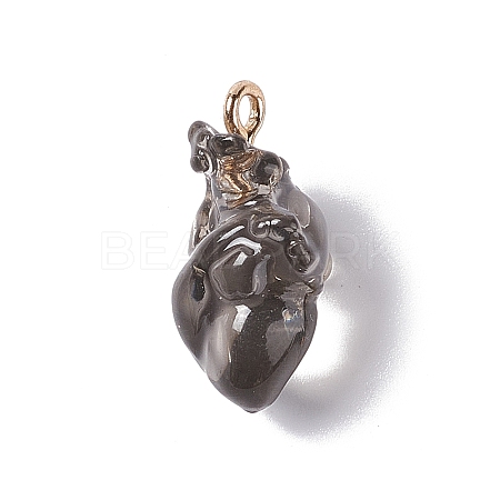 Transparent Resin Pendants RESI-E028-01G-02-1