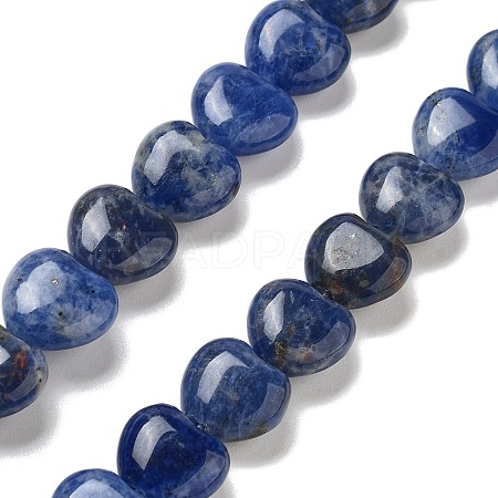 Natural Sodalite Beads Strands G-R190-10mm-37-1