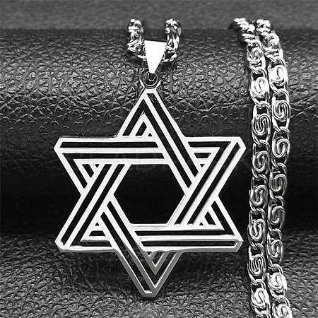 304 Stainless Steel Lumachina Chain Star of David Pendant Necklaces NJEW-S003-03P-1