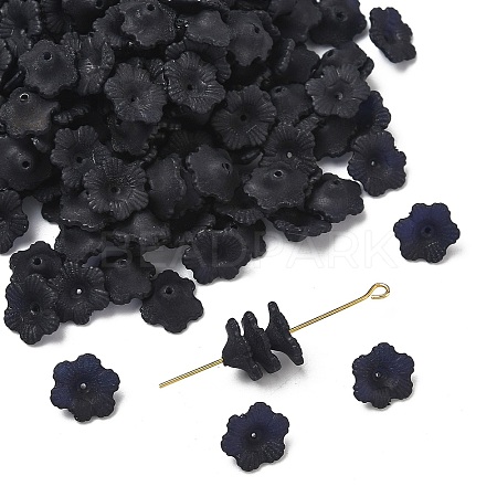 Transparent Acrylic Beads X-PL561-12-1
