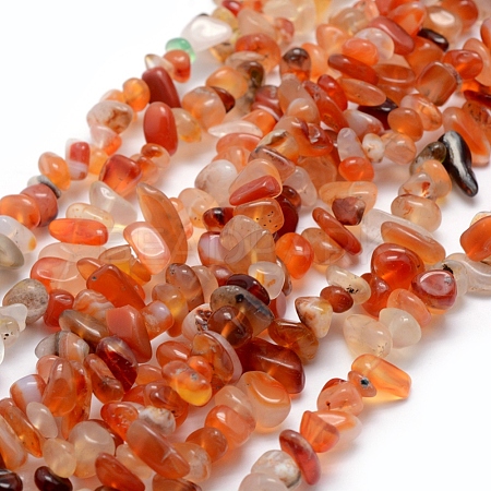 Natural Carnelian/Red Agate Beads Strands G-P332-34B-1