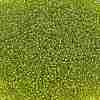 TOHO 11/0 Round Beads SEED-XTR11-0024-2
