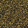 MIYUKI Delica Beads SEED-X0054-DB0604-3
