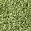 TOHO Round Seed Beads X-SEED-TR11-0946F-2