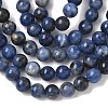 Natural Sodalite Beads Strands G-G515-6mm-07-2
