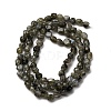 Natural Labradorite Beads Strands G-I389-A35-01A-3
